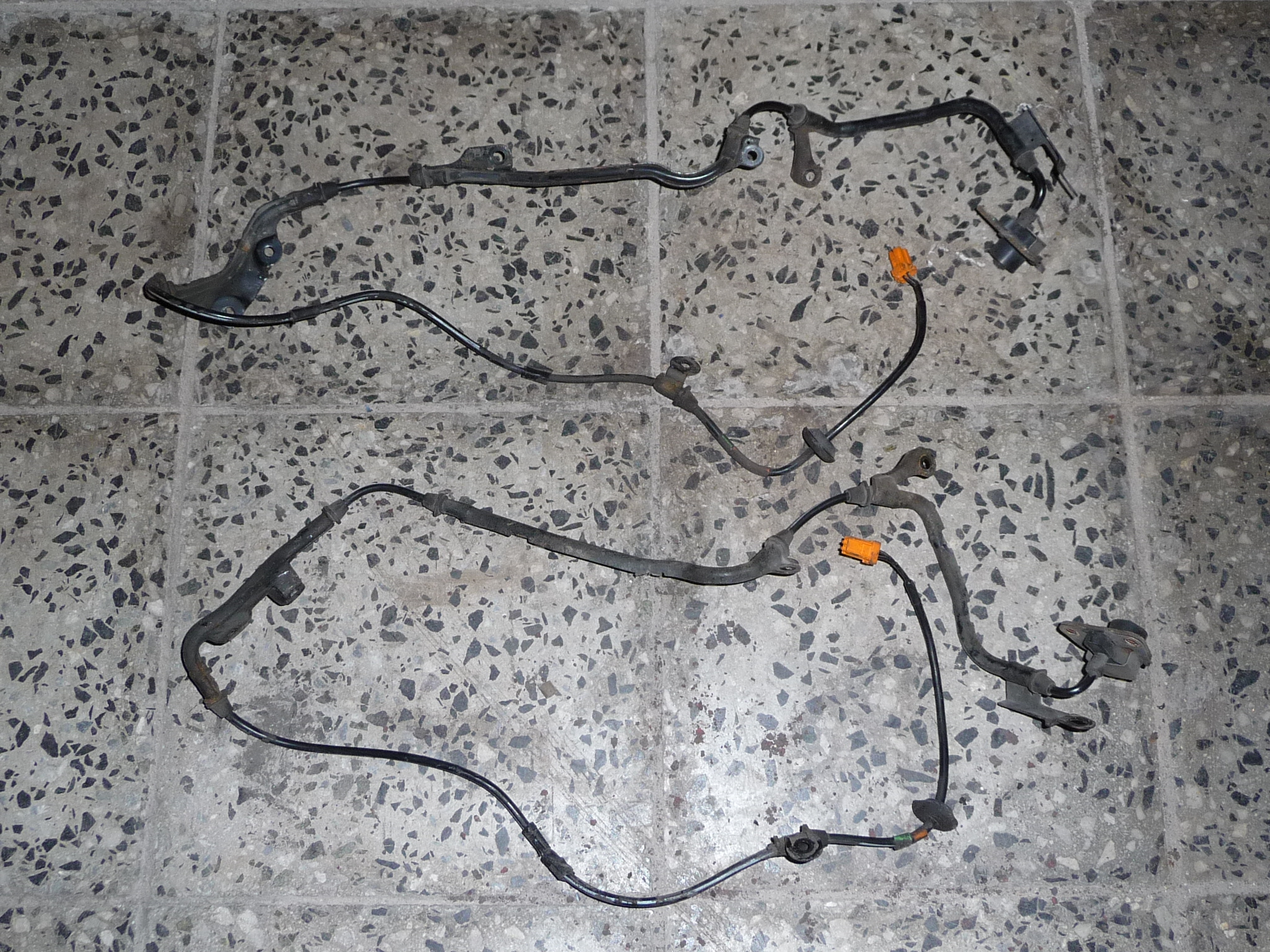 P1020301.JPG