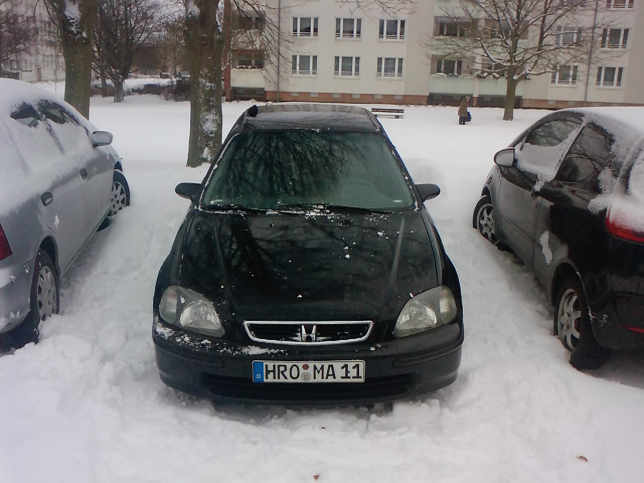 P1035_03-02-10.JPG