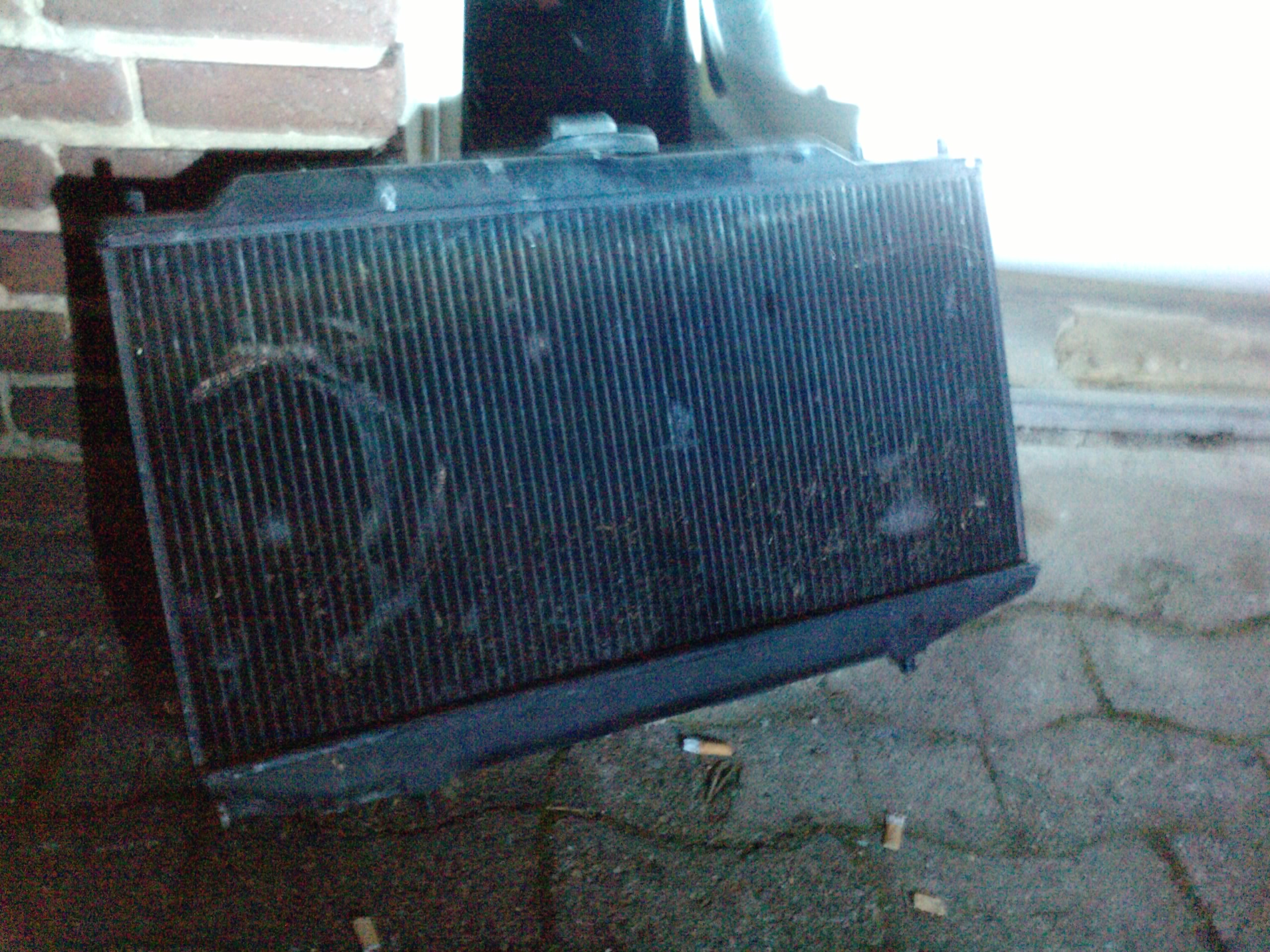 P1908_30-01-11.JPG
