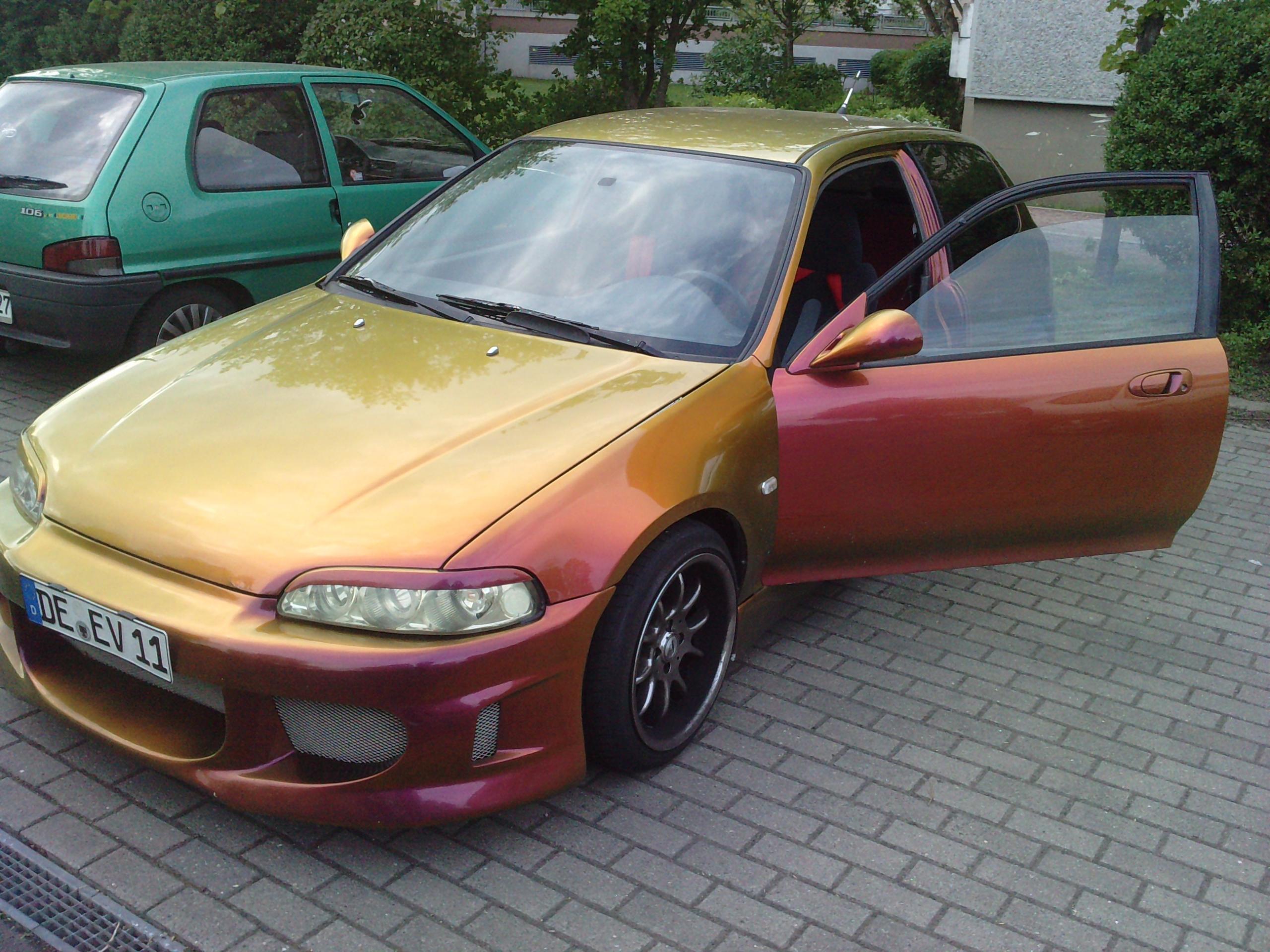 P300410_19.000001.JPG