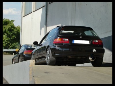backside.jpg