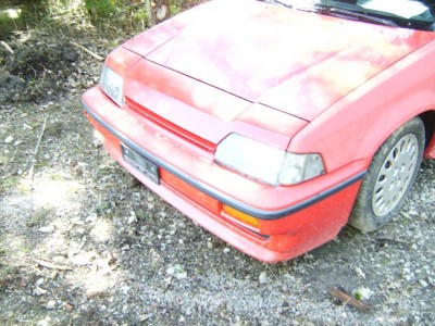 BILD0914.jpg