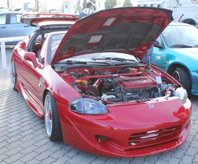 Kopieren von img0349x.jpg