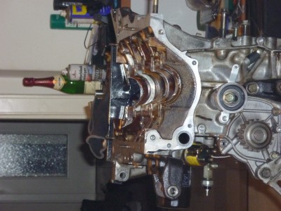 P1000261.JPG