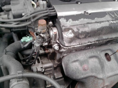 P230111_15.43_[01].jpg