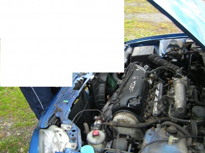 PICT0818.JPG