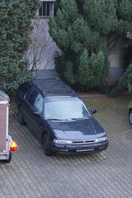 Punto 003.jpg