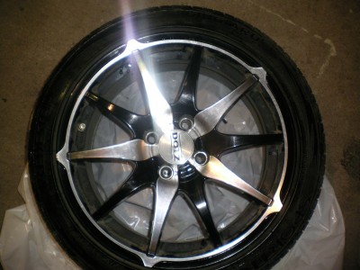 SANY1270.JPG