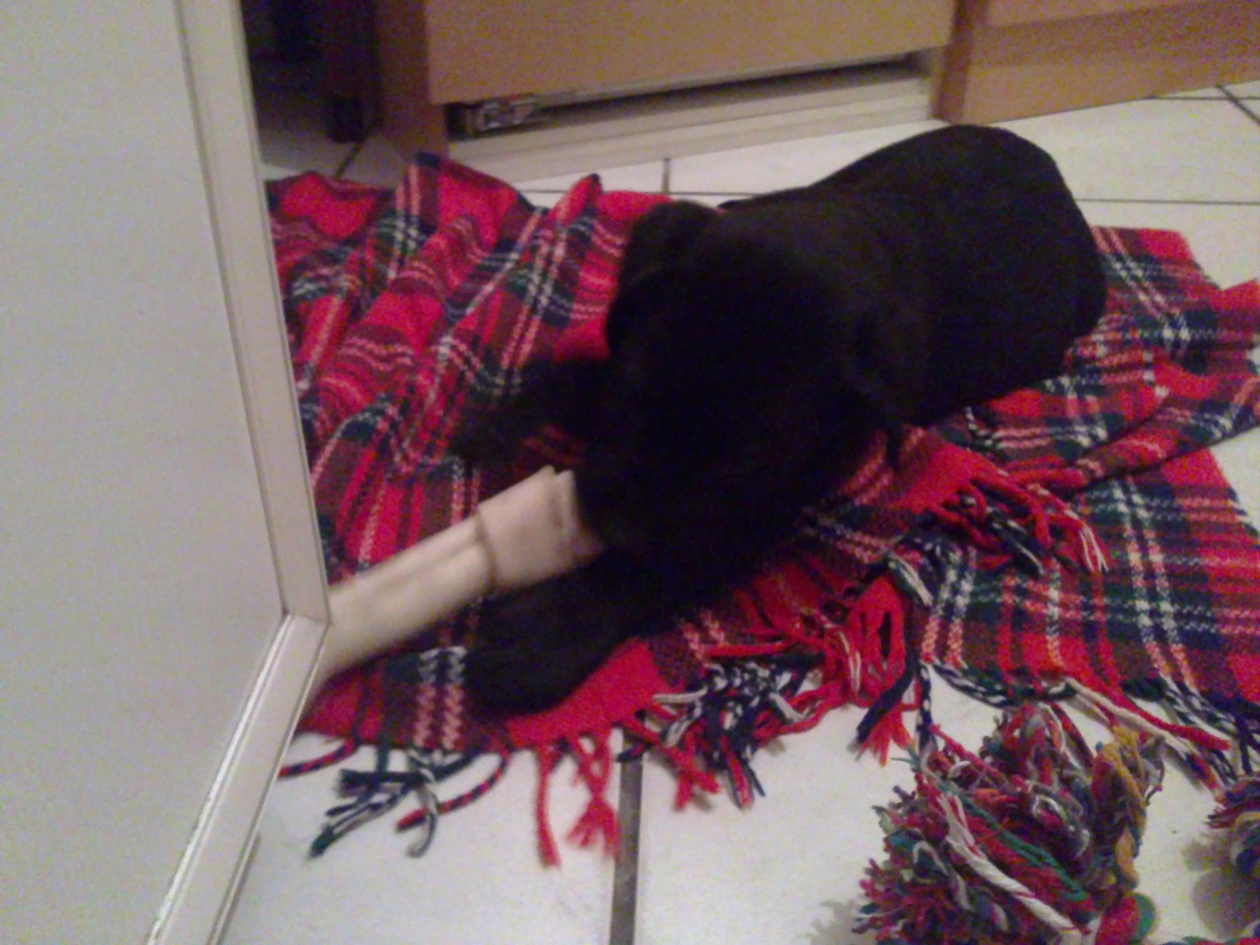 02022011261.JPG