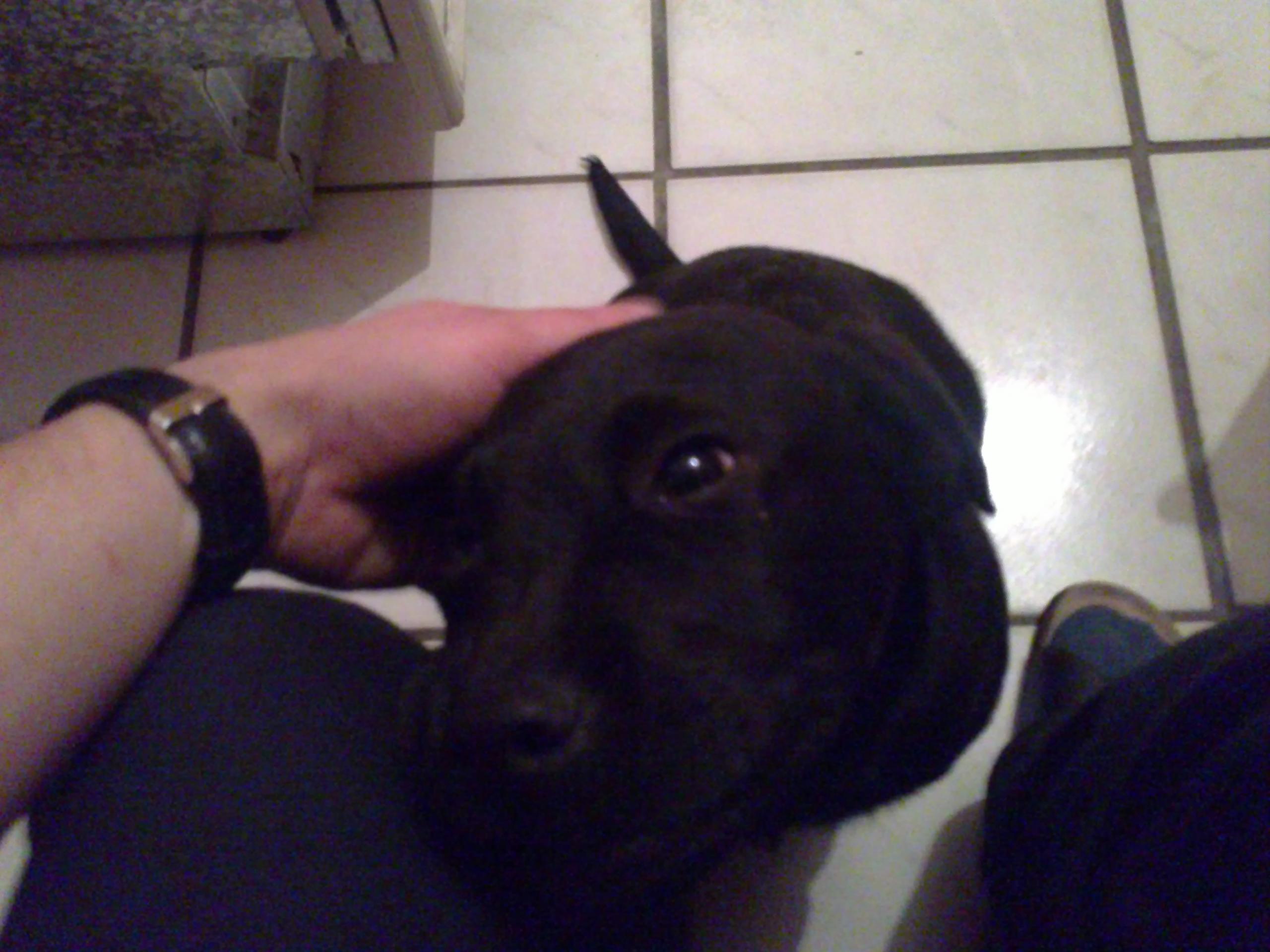 02022011262.JPG