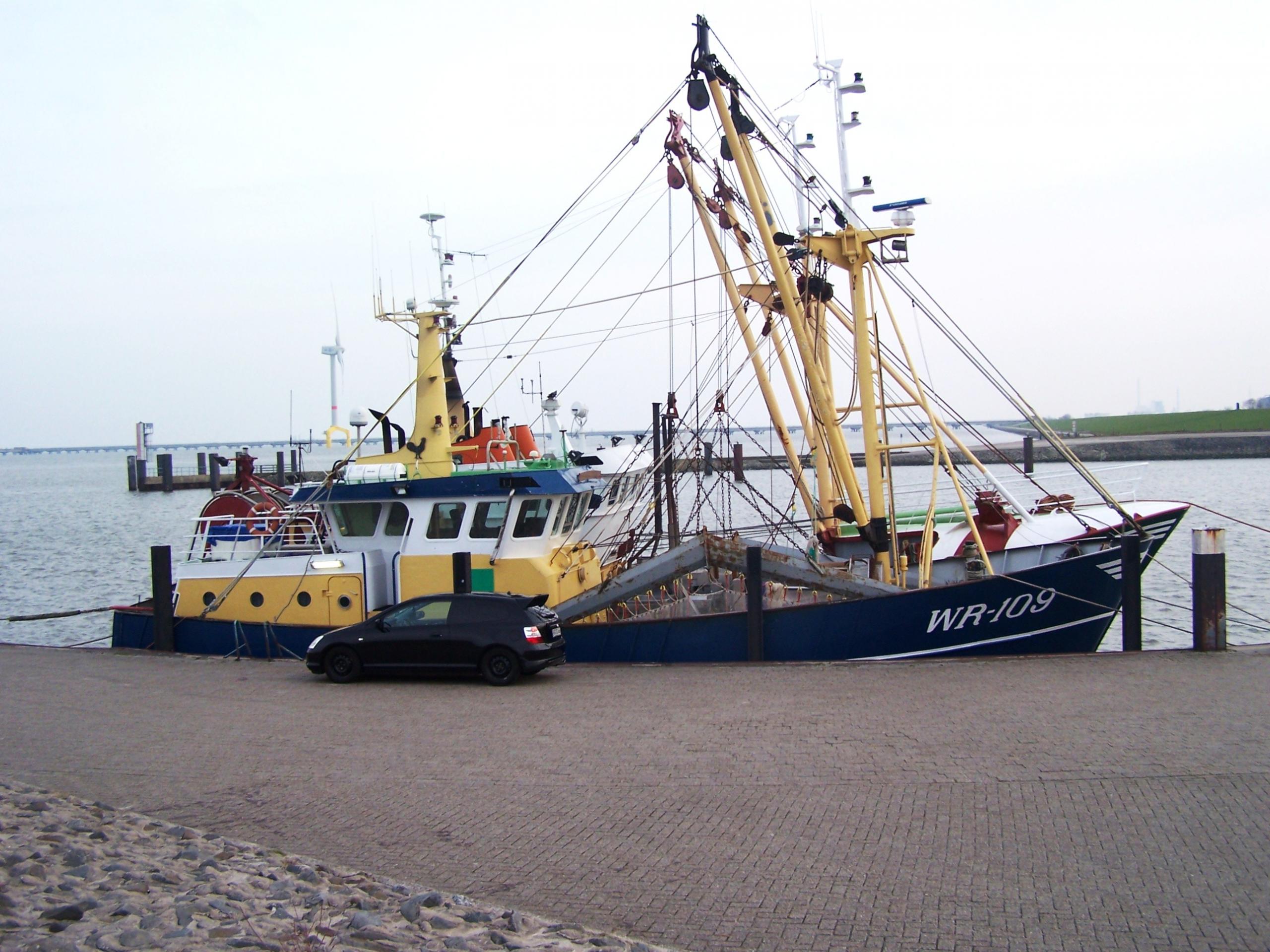 100_5458.JPG