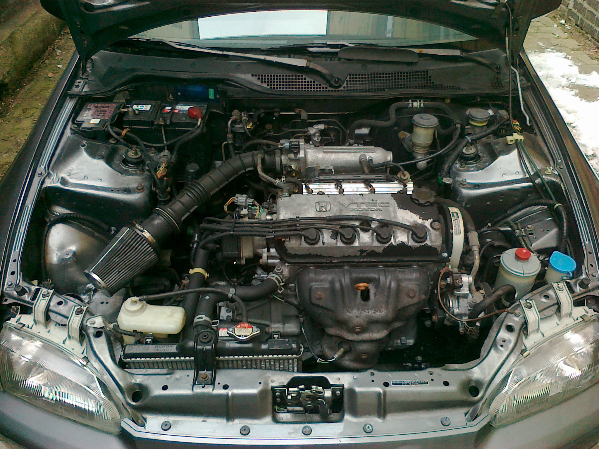 28012011816.jpg