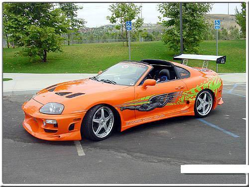 3555470003_large.jpg