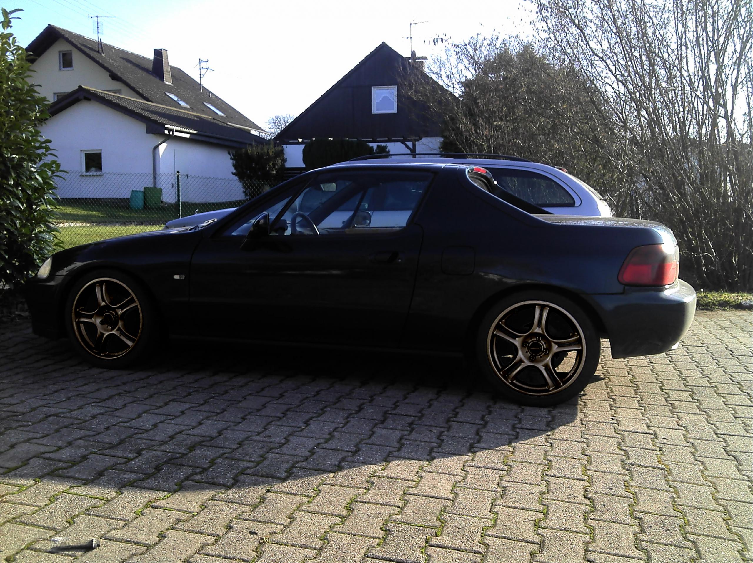 778-brown.jpg