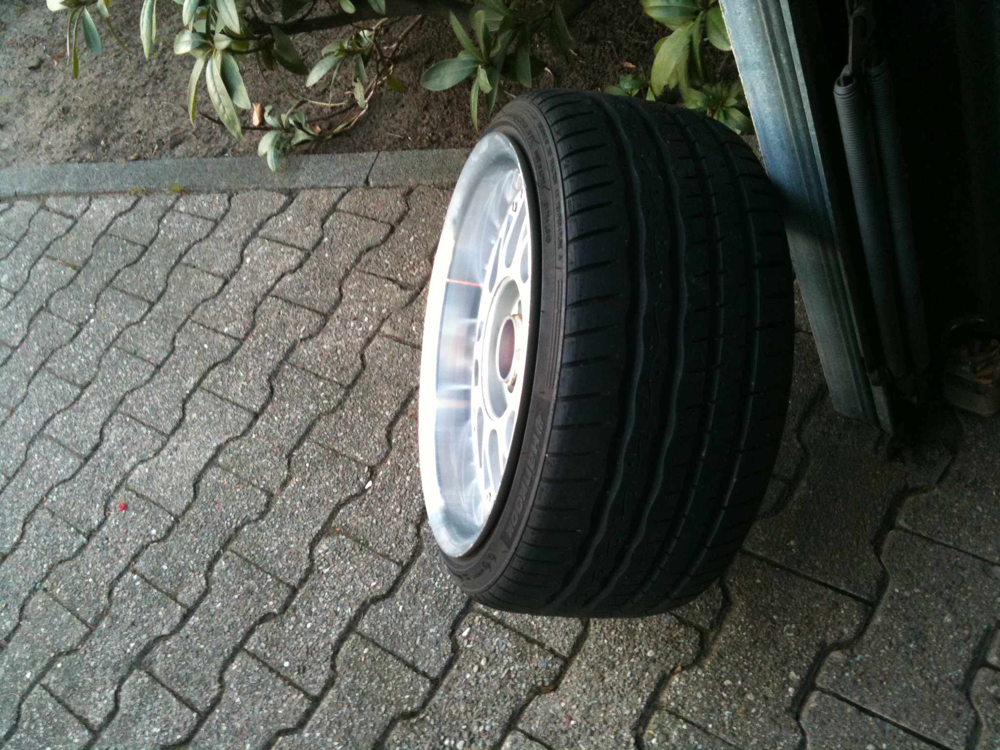 Bild 491.jpg