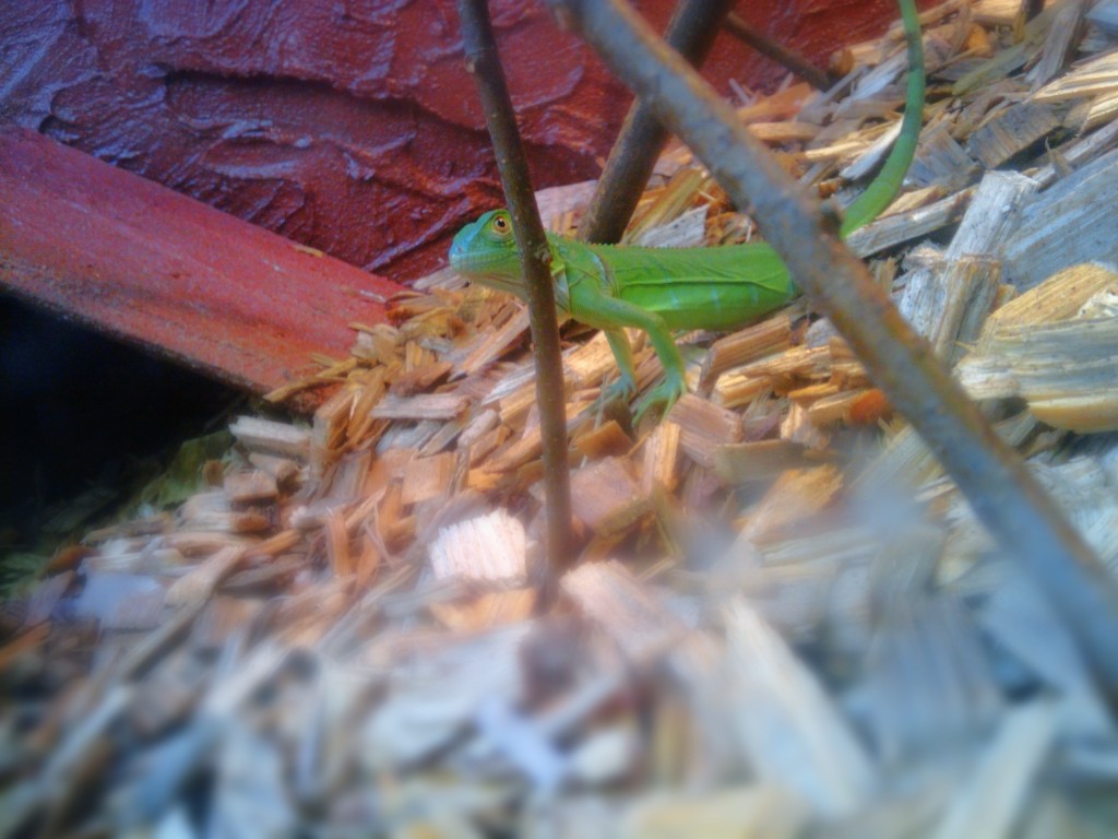 C360_2010-09-18 15-34-30.jpg