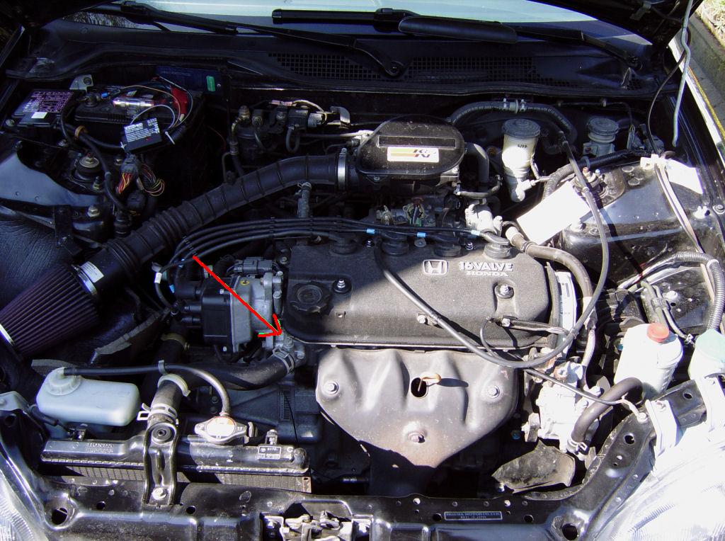 civic_eg4_09.jpg