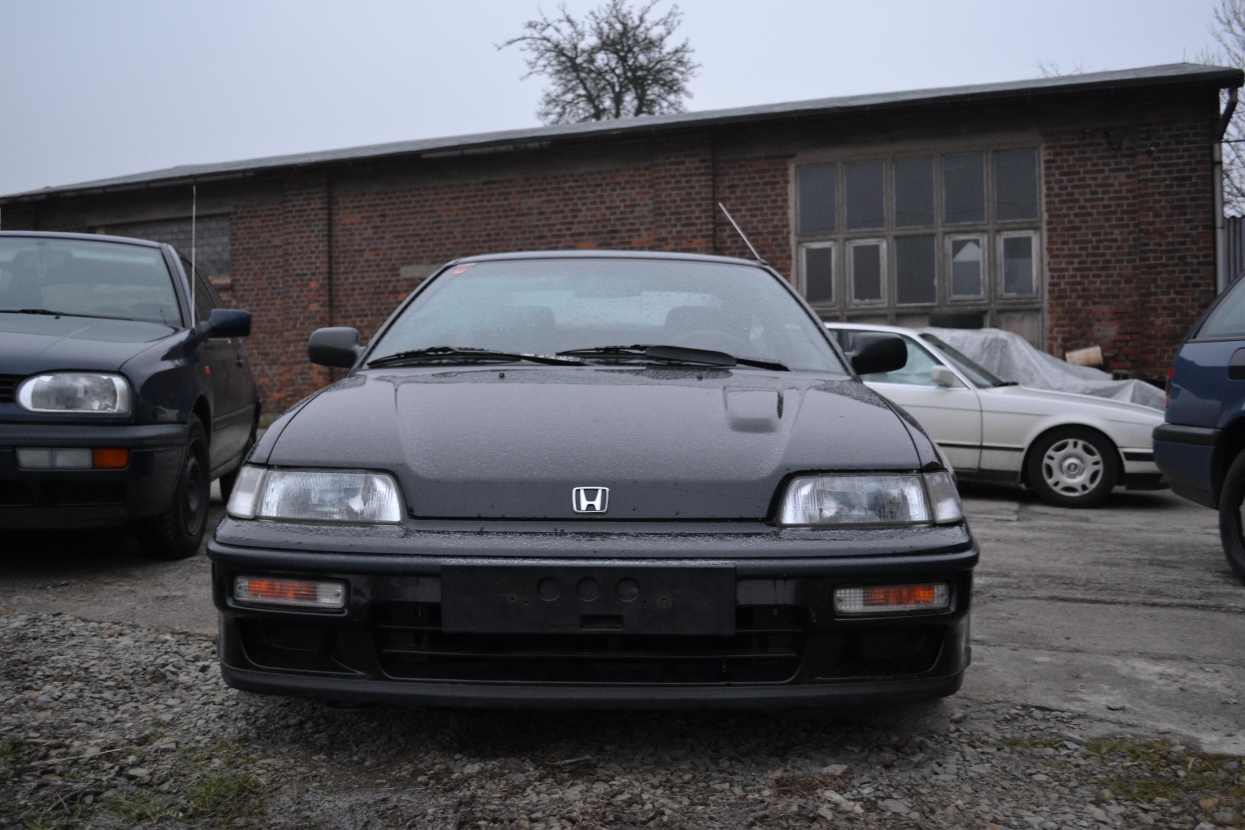 DSC_0016.JPG