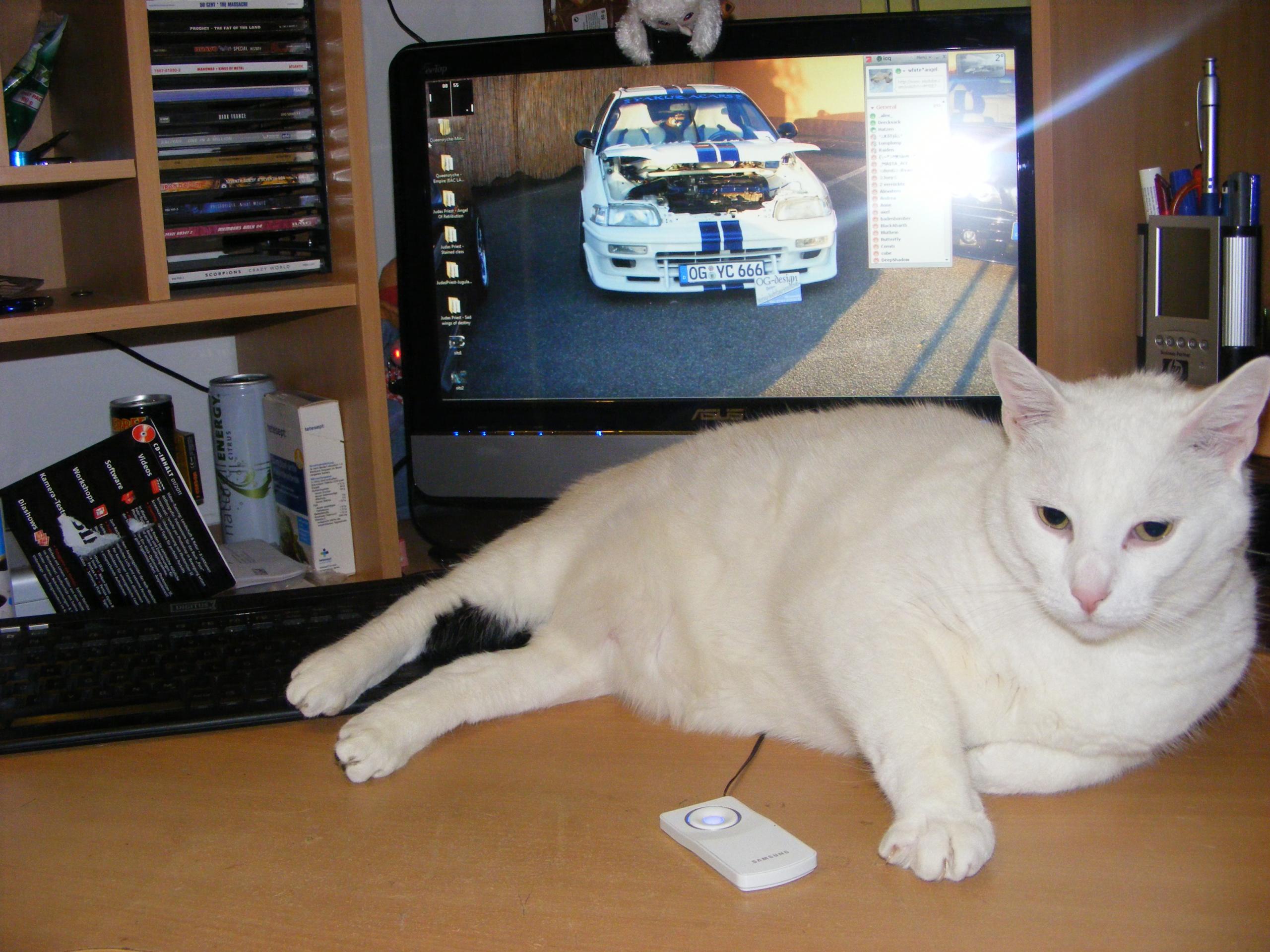 DSCF7498.JPG