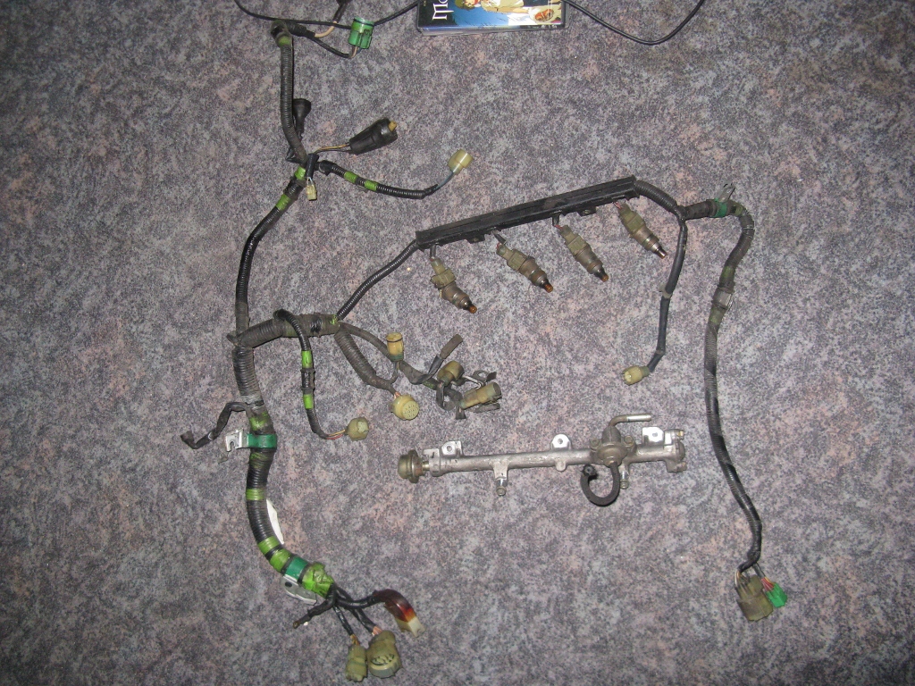 IMG_0110 (1024x768).jpg