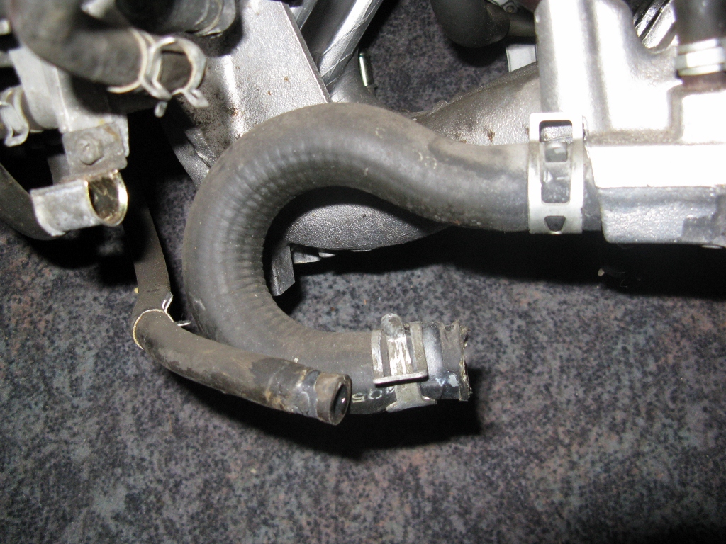 IMG_0116 (1024x768).jpg