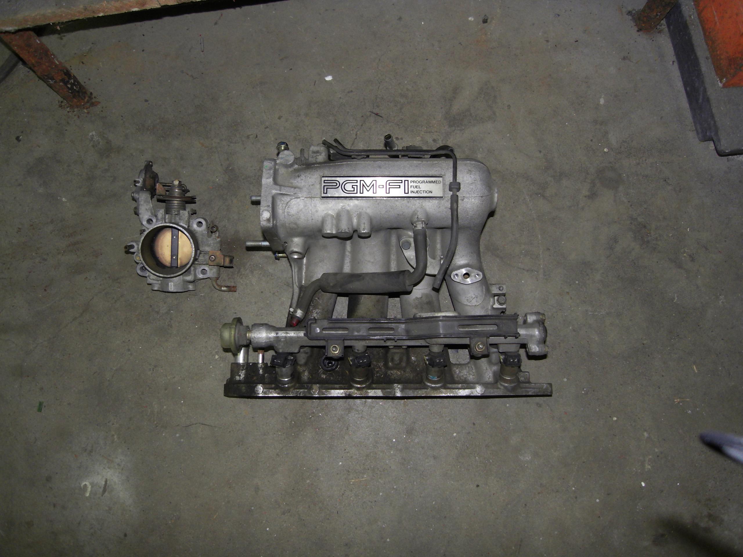 SDC10542.JPG