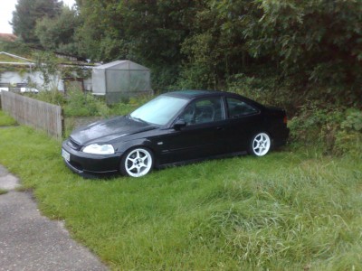 buddy rims.jpg