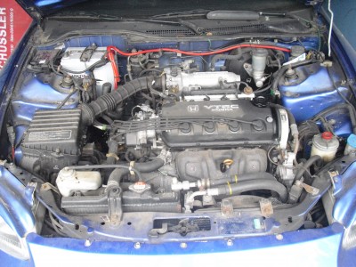 CIMG0373.JPG
