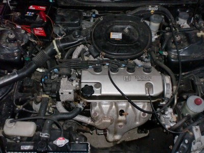CIMG1107.JPG