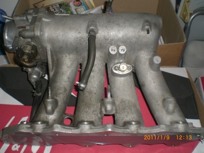 CIMG8382.JPG