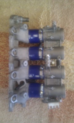 IMAG0176.jpg