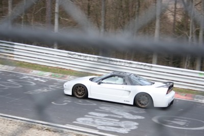 img1575y.jpg