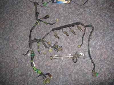 IMG_0110 (1024x768).jpg