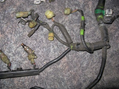 IMG_0112 (1024x768).jpg