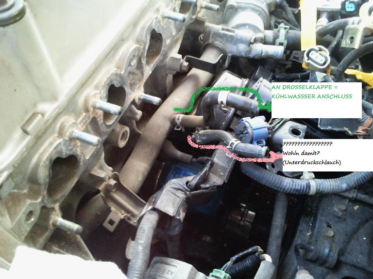 2011-03-01 16.48.00.jpg