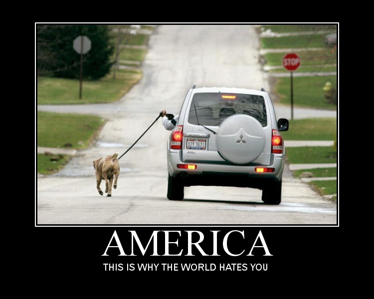 America_-_This_is_Why_the_World_Hates_You_-_Car_Dog_Walk.jpg