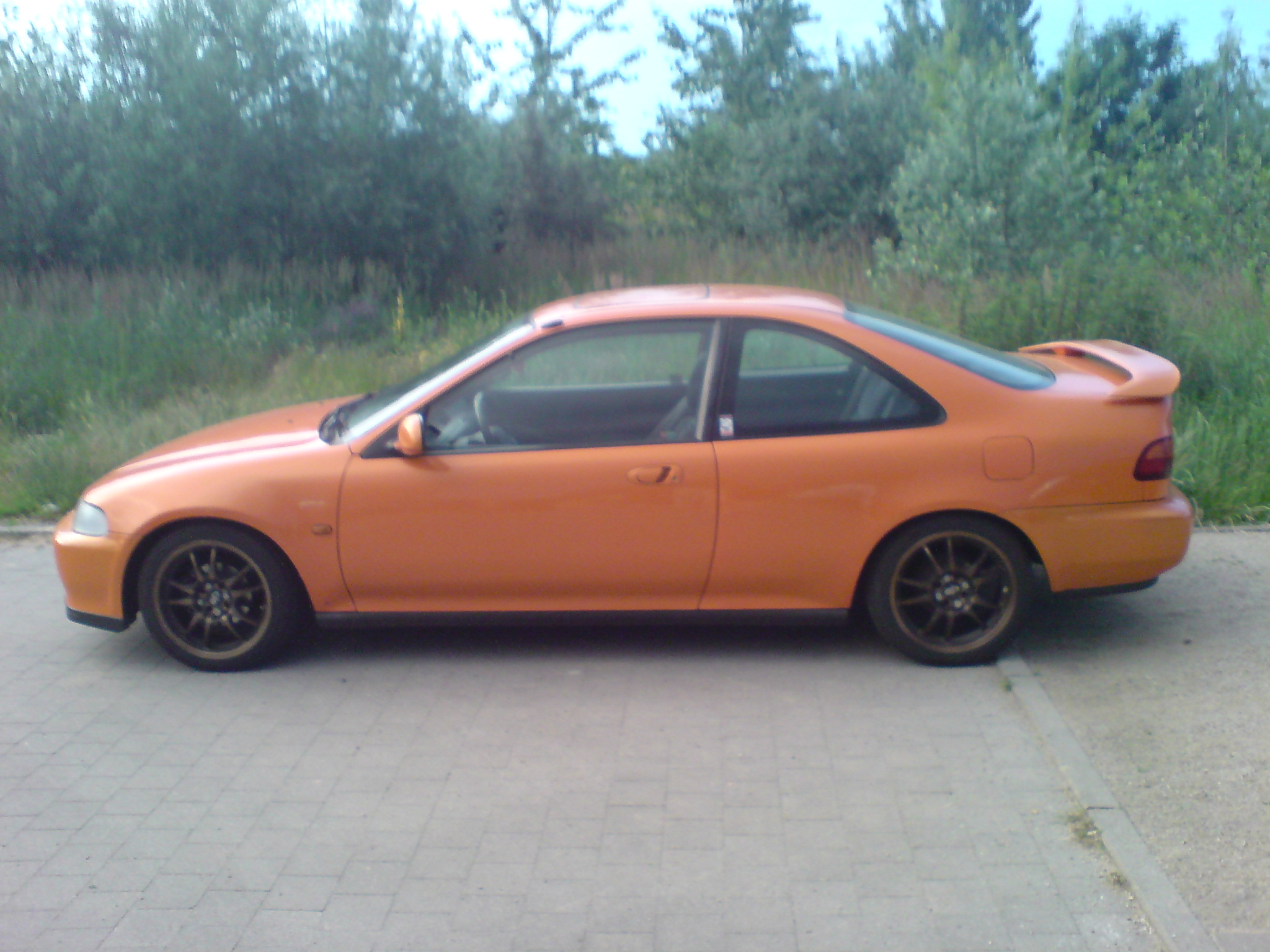 DSC00020.JPG
