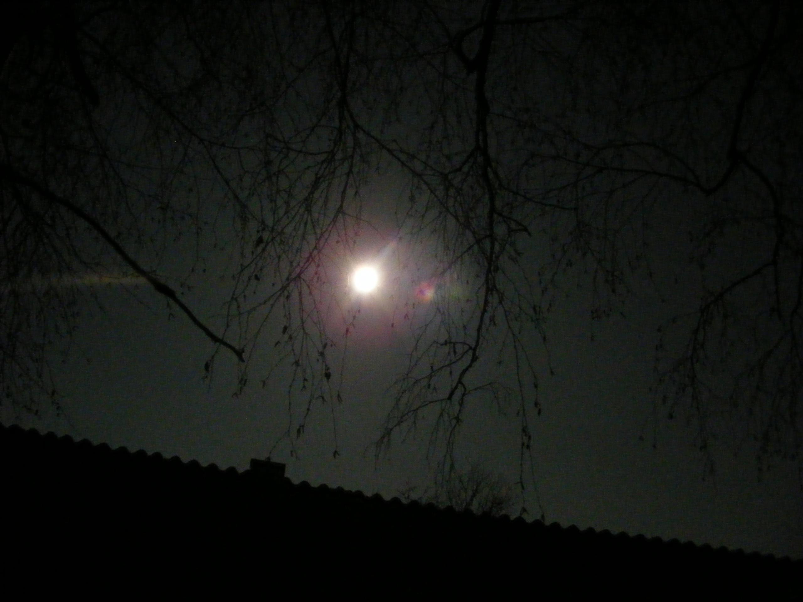 DSCF7760.JPG