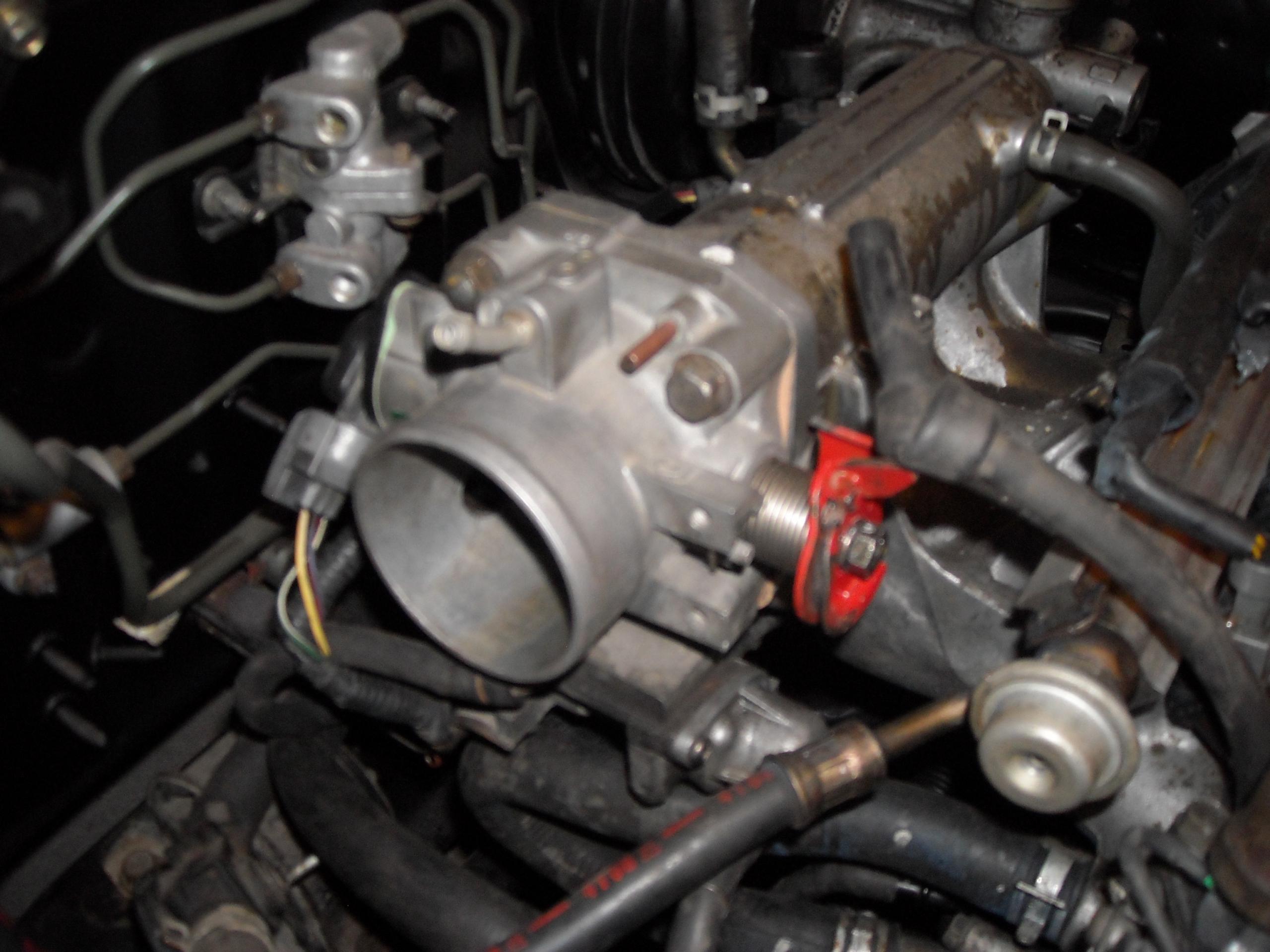 DSCN0513.JPG