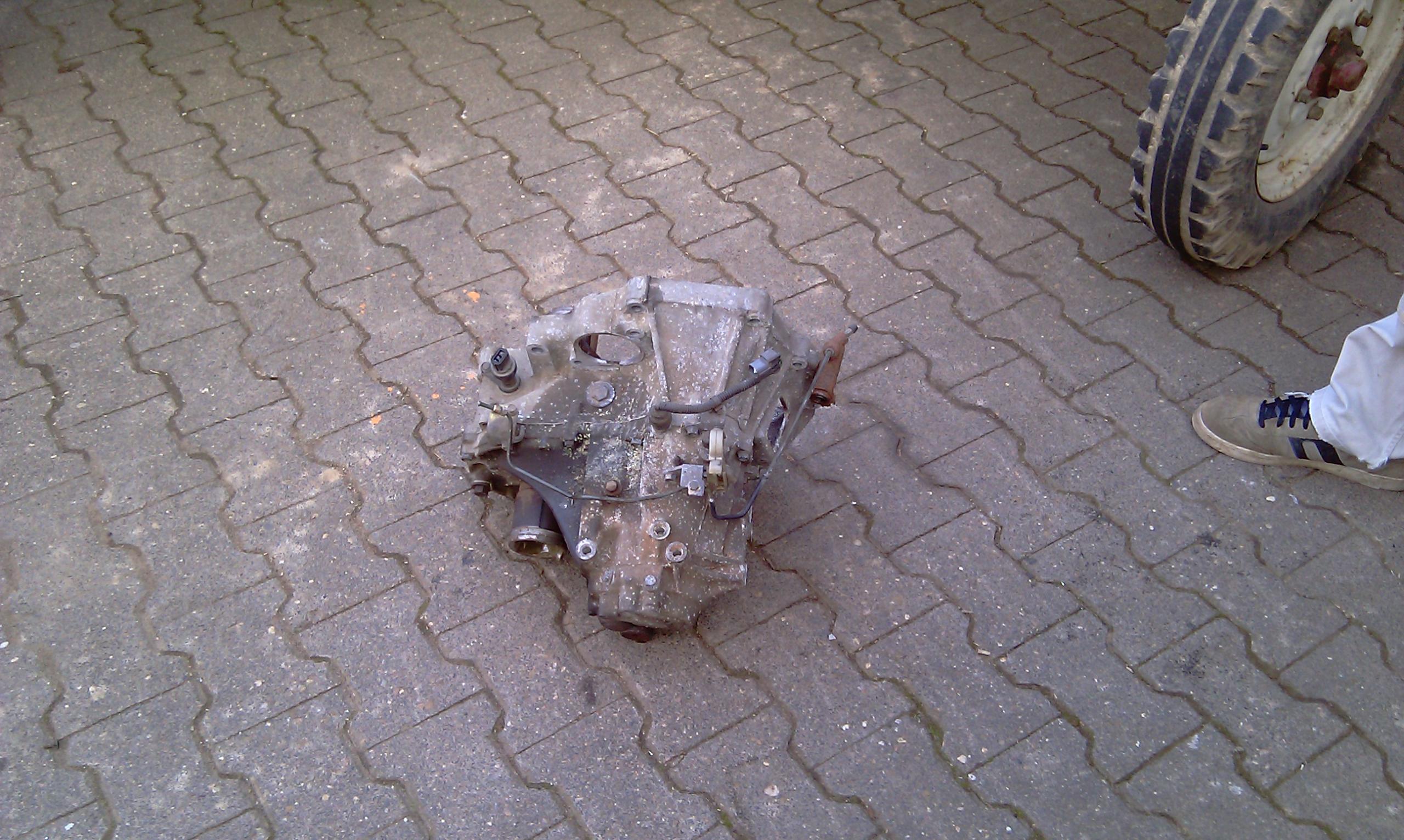 IMAG0013.jpg