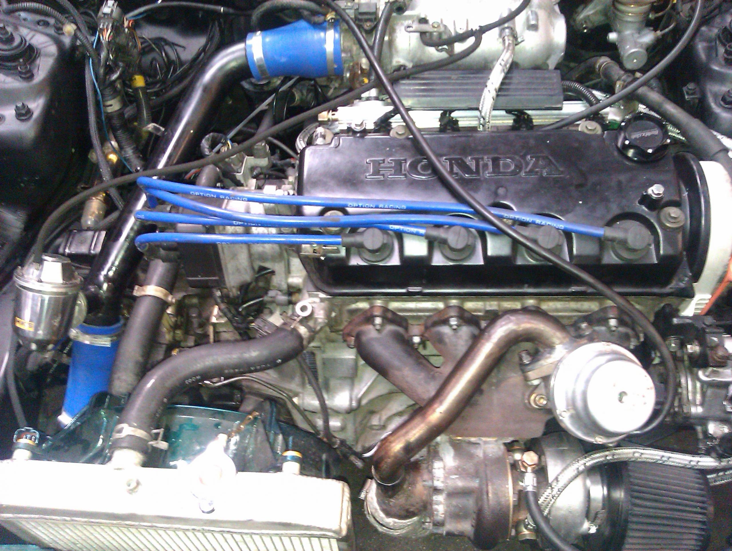 IMAG0088.jpg
