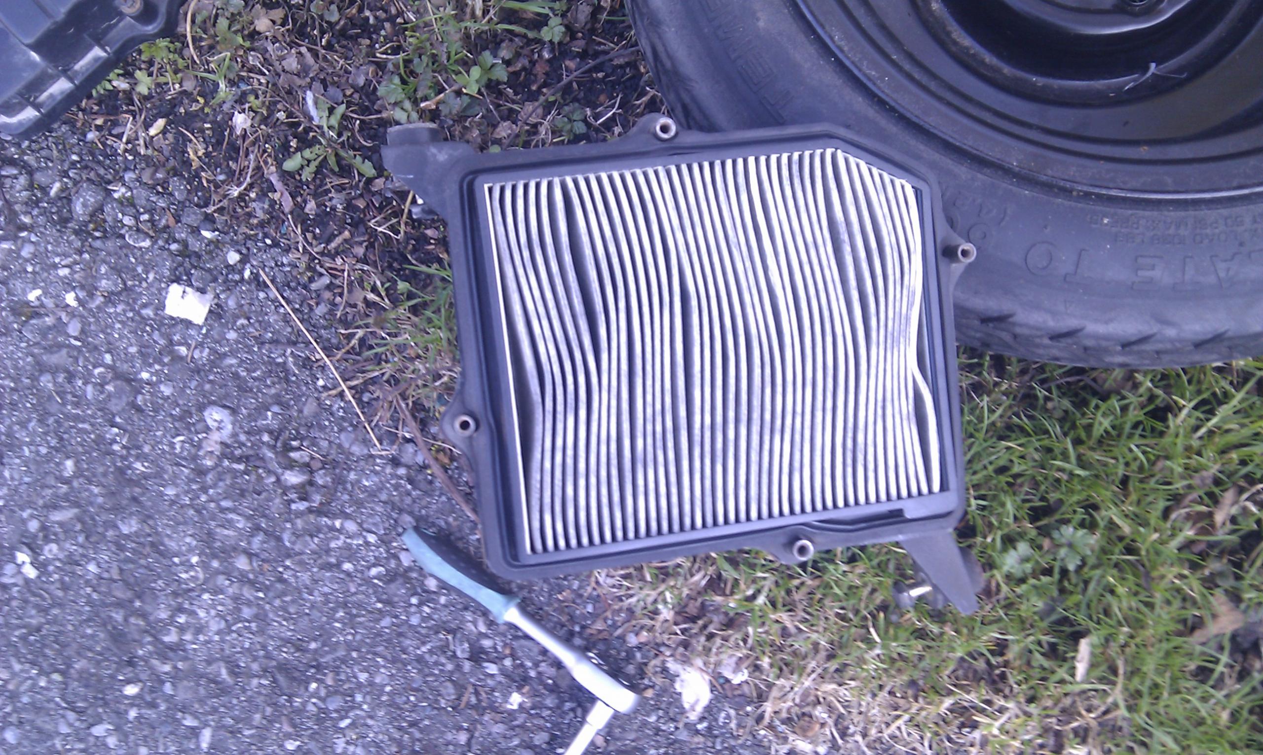 IMAG0139.jpg