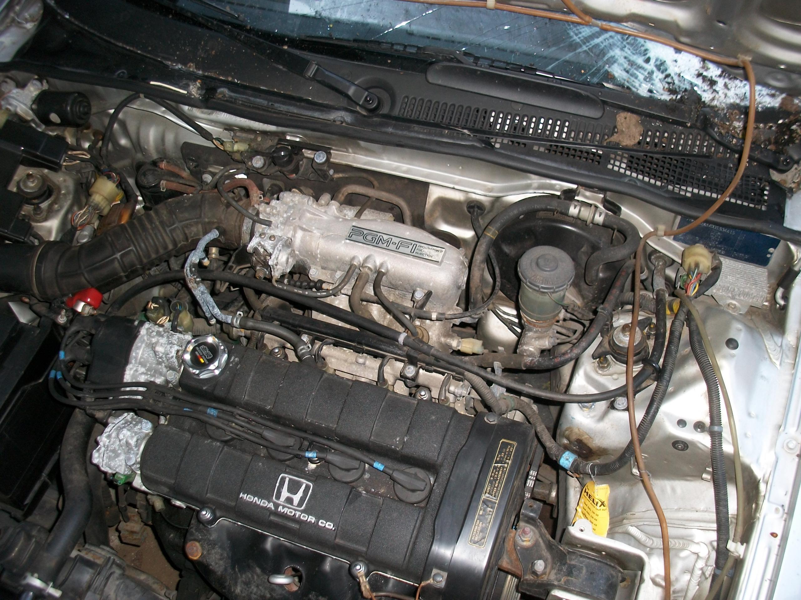 MD001308.JPG