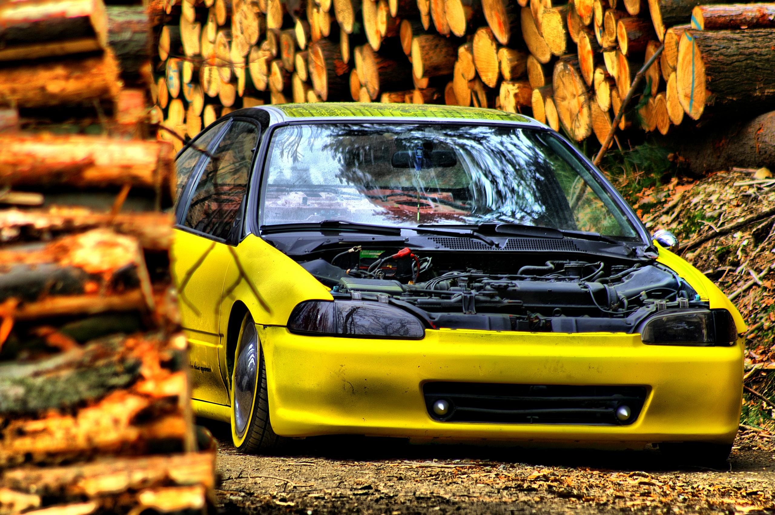 PICT0209.jpg