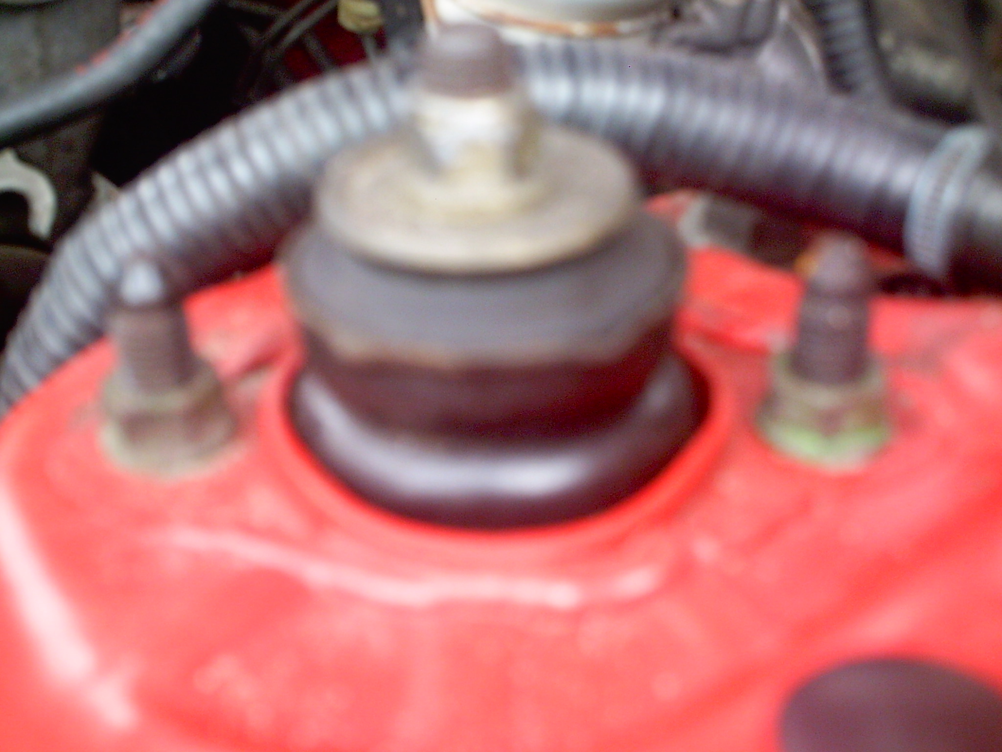 PICT0296.JPG