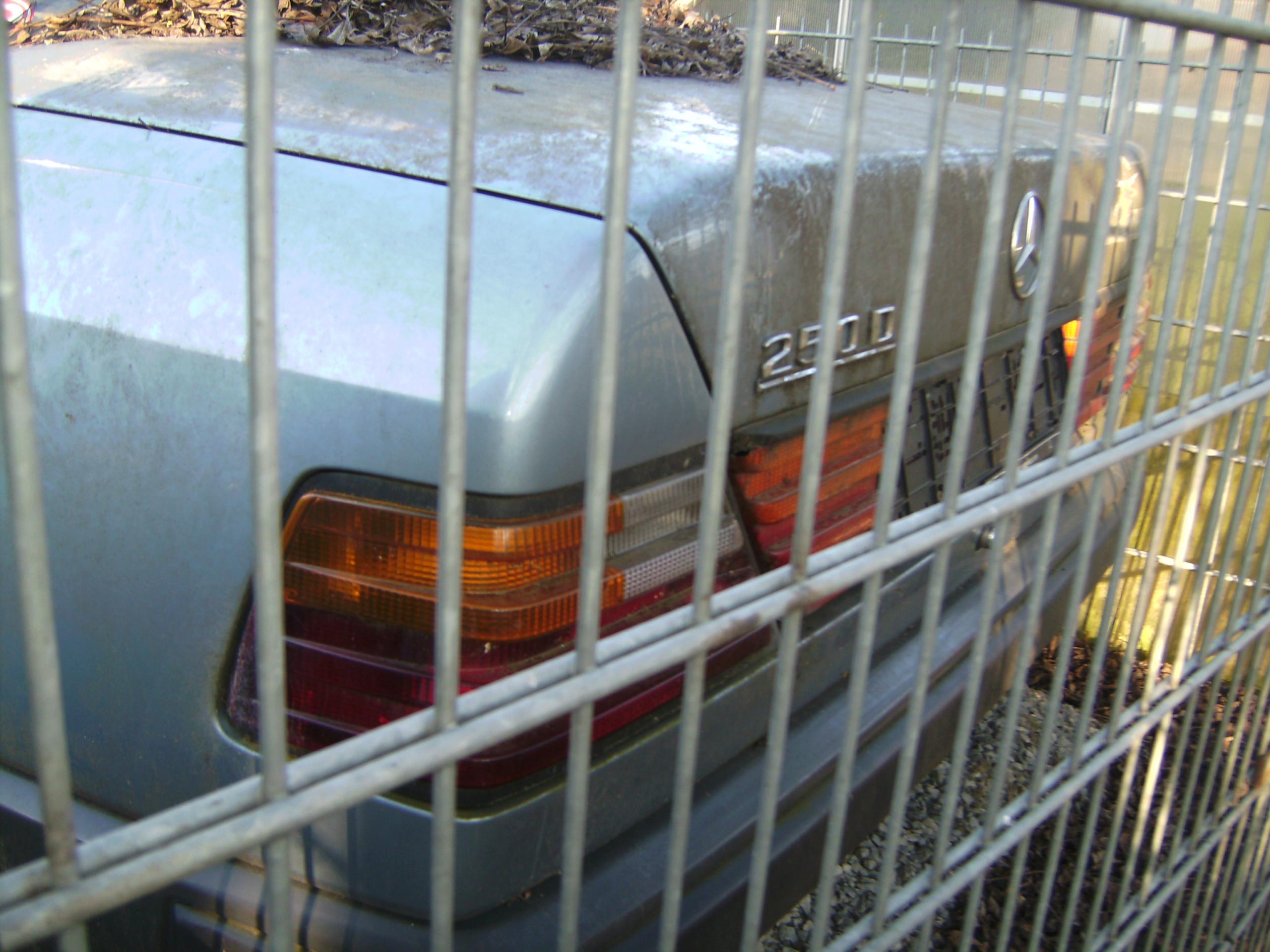 PICT0808.JPG