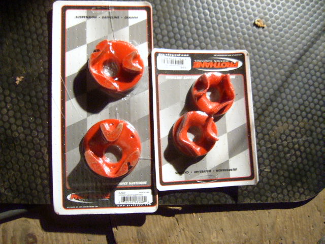 SUC51734.JPG