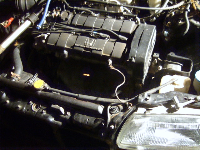 SUC51735.JPG