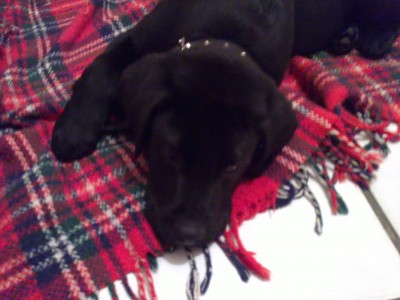 04022011269.JPG