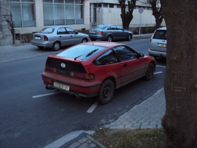 DSC05126.JPG